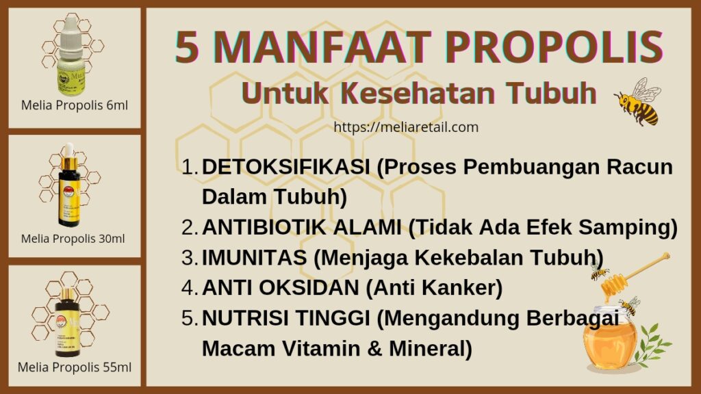 5 Manfaat Propolis Untuk Kesehatan