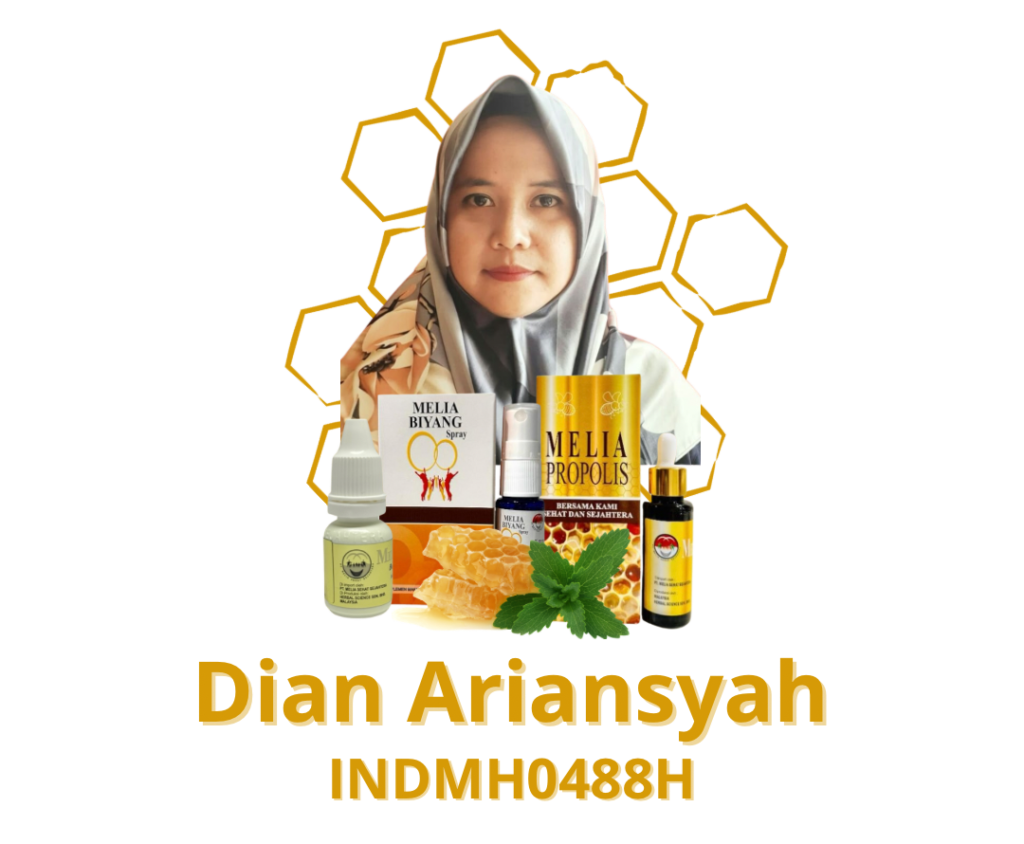 Dian Ariansyah