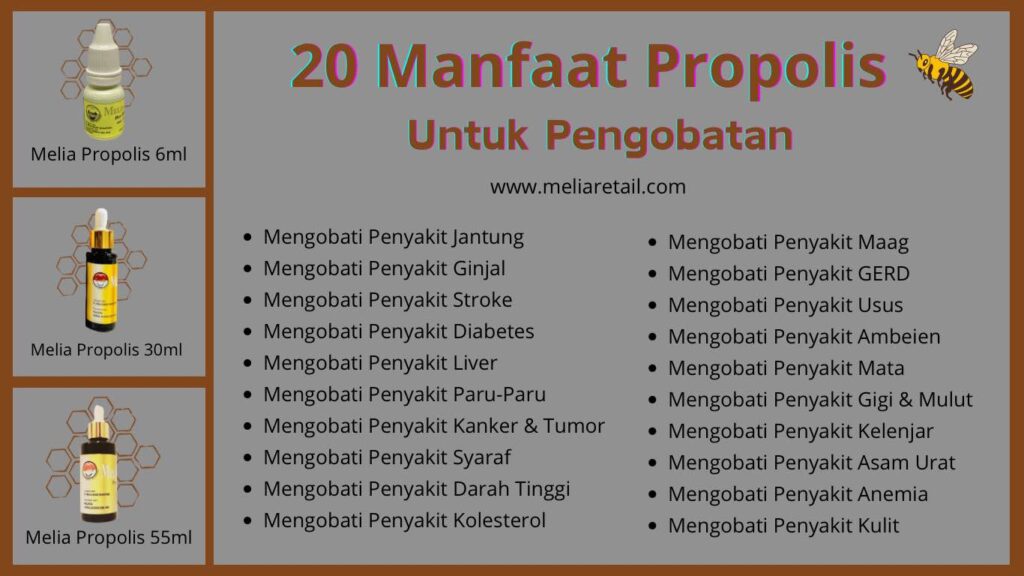 Manfaat-Propolis