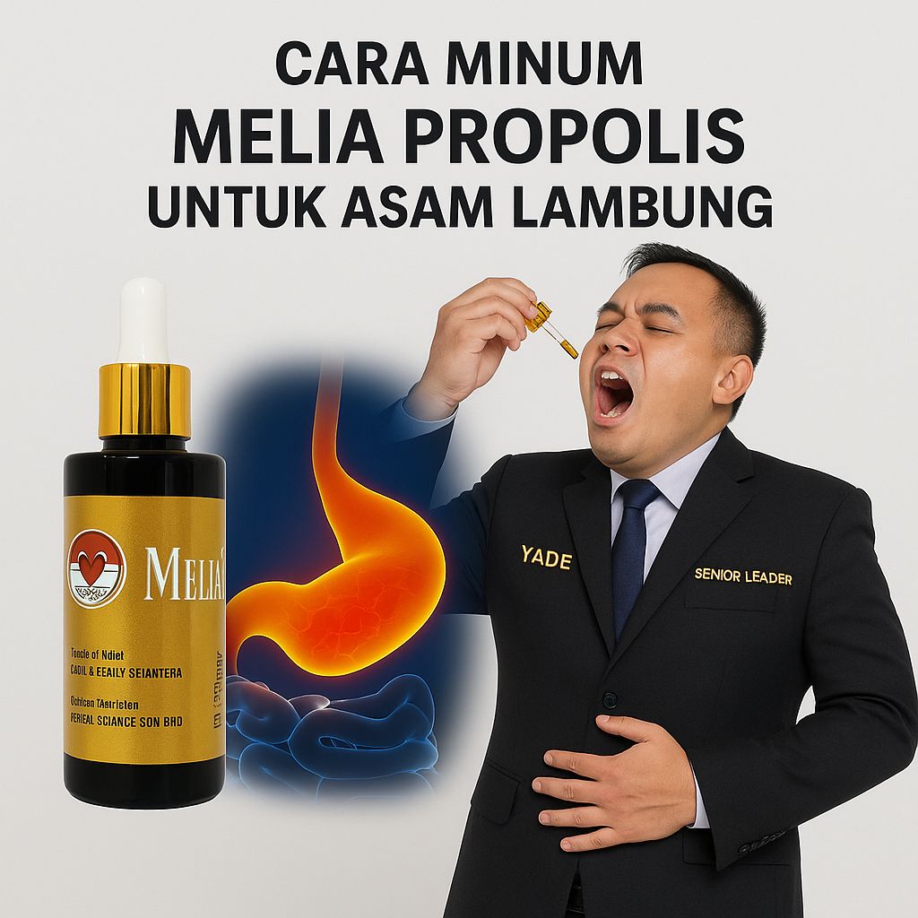Cara Minum Propolis Untuk Asam Lambung
