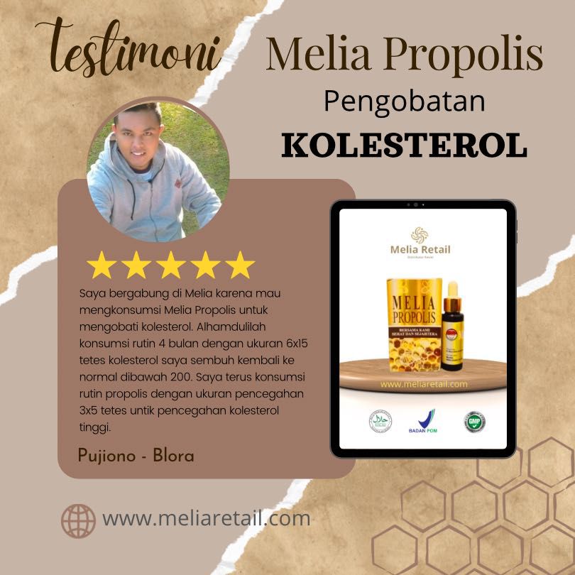 Testimoni Propolis Untuk Kolesterol