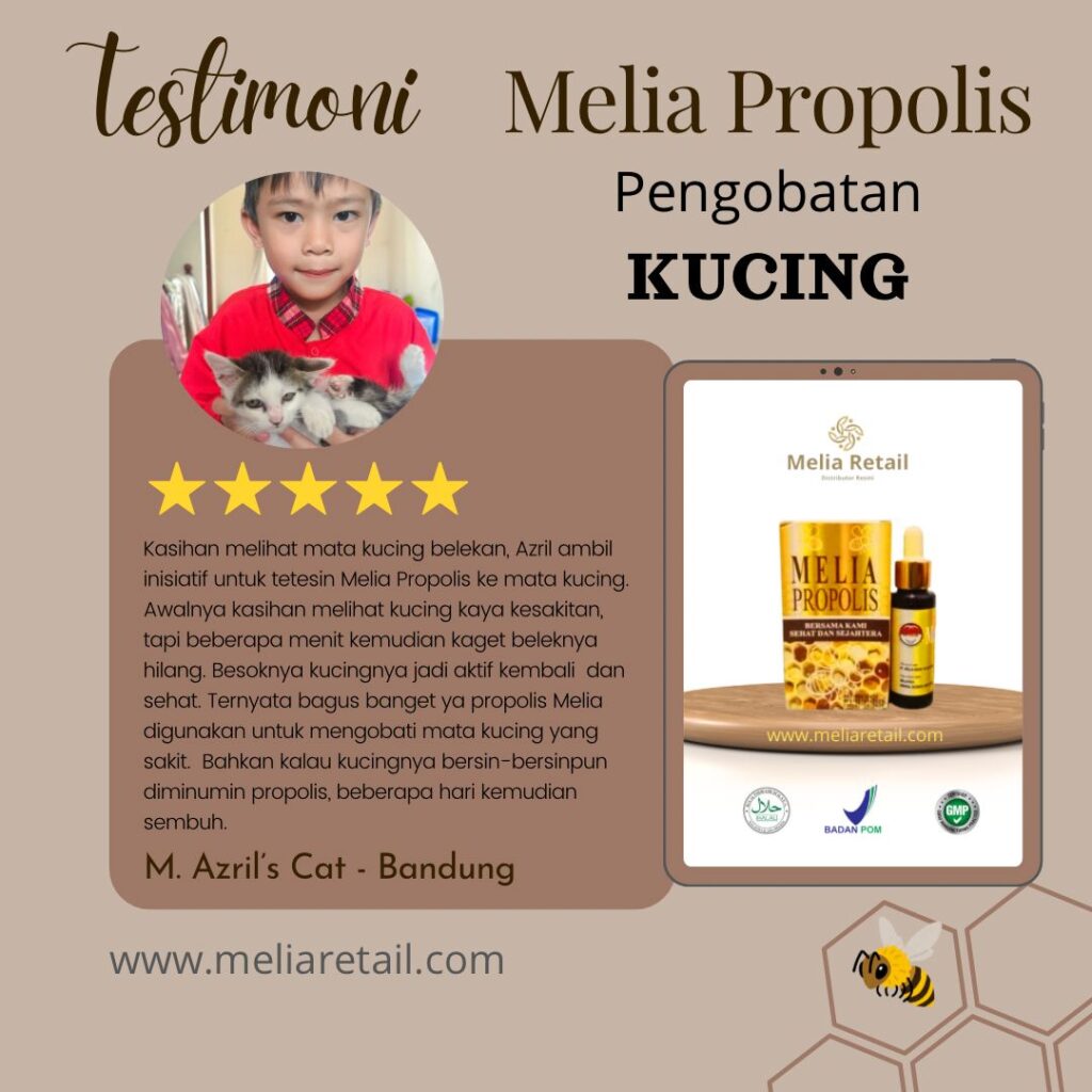 Testimoni Propolis Untuk Kucing