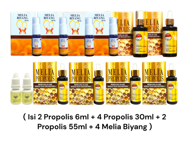 Paket Platinum Member